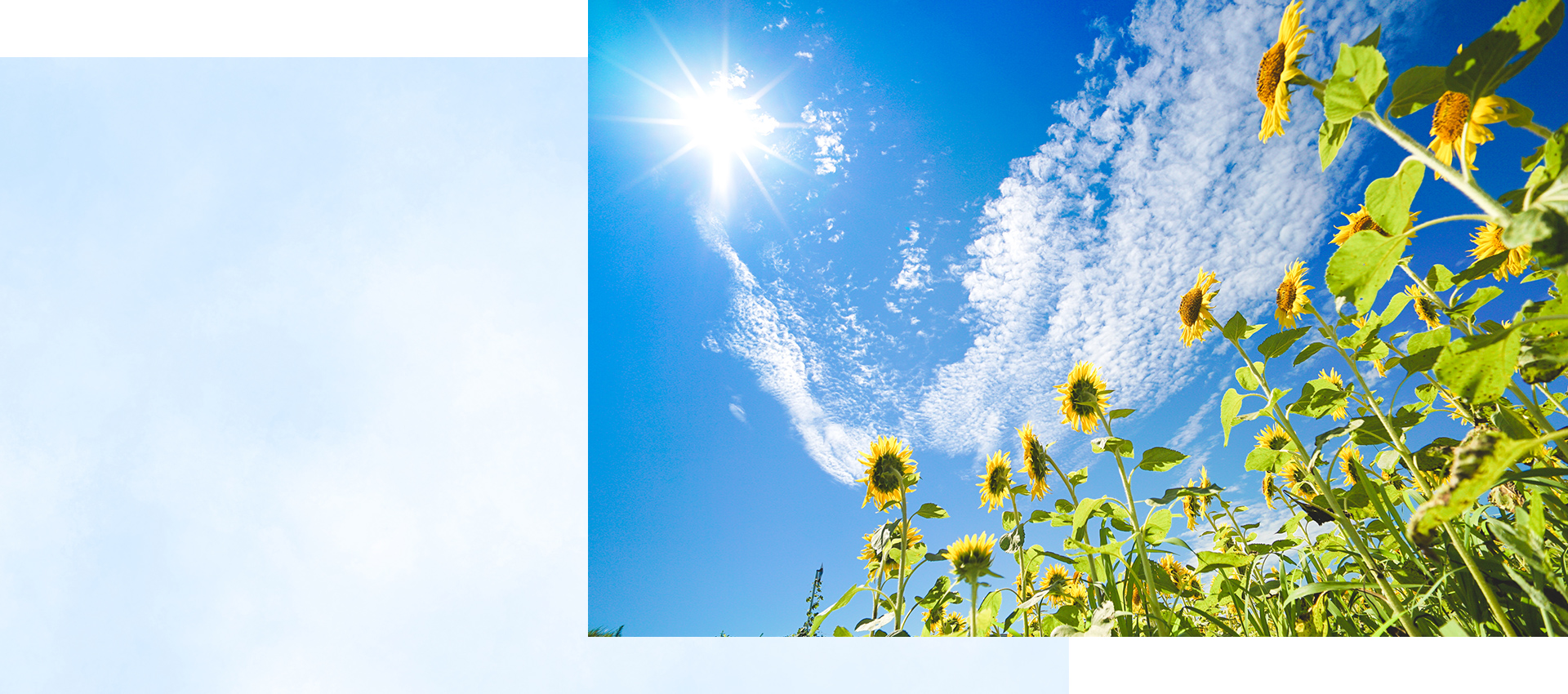 弁護士 伊藤清(いちじょう法律事務所 所属)